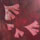 red ginko thumbnail