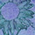 sunflowers 35 thumbnail
